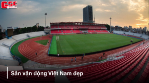 thumbnail san van dong viet nam