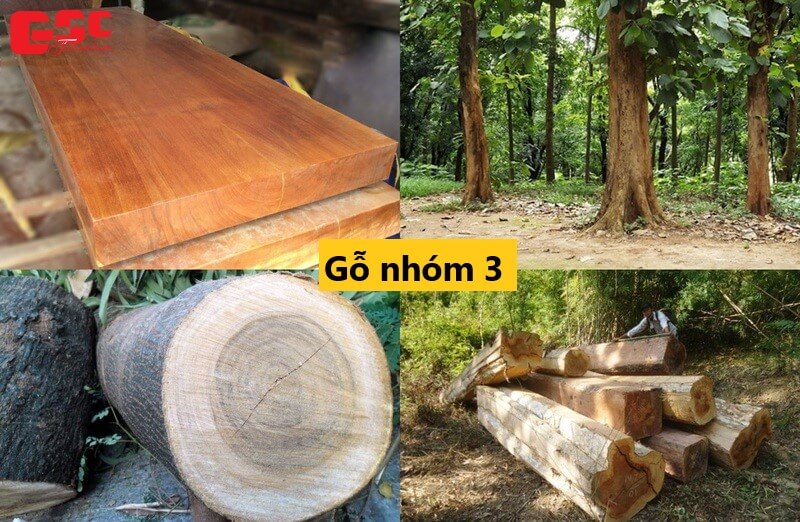 Gỗ nhóm 3