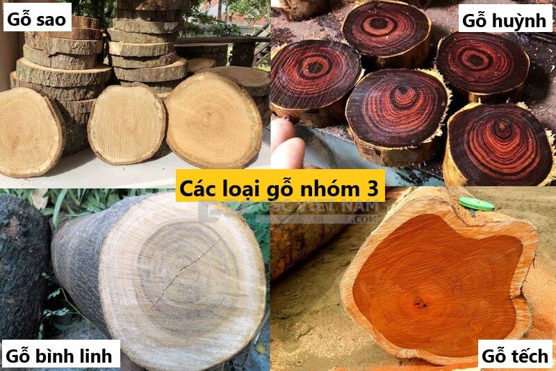 Danh sách các loại gỗ nhóm 3