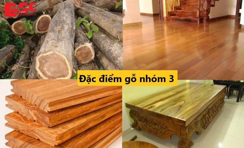 Đặc điểm gỗ thuộc nhóm 3