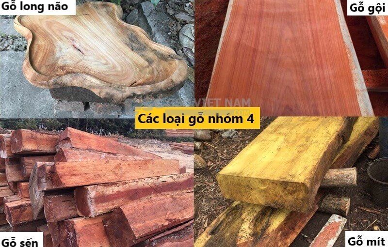 Thông Tin Chi Tiết Về Các Loại Gỗ Nhóm 4