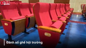 thumbnail danh so ghe hoi truong