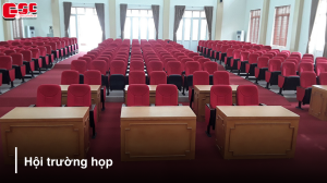 thumbnail hoi truong hop