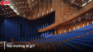 thumbnail hoi truong la gi