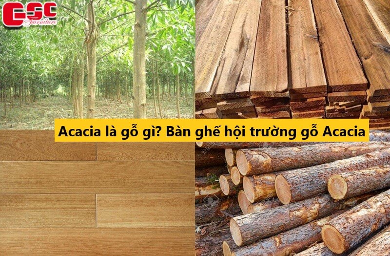 Gỗ acacia là gì