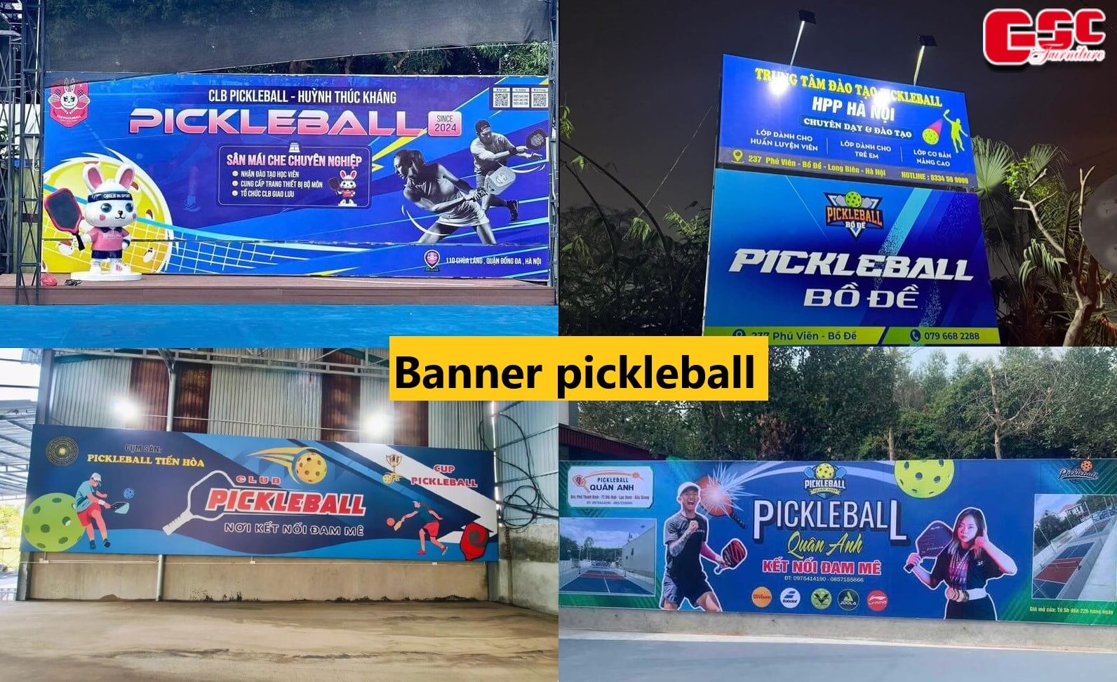 background pickleball 3