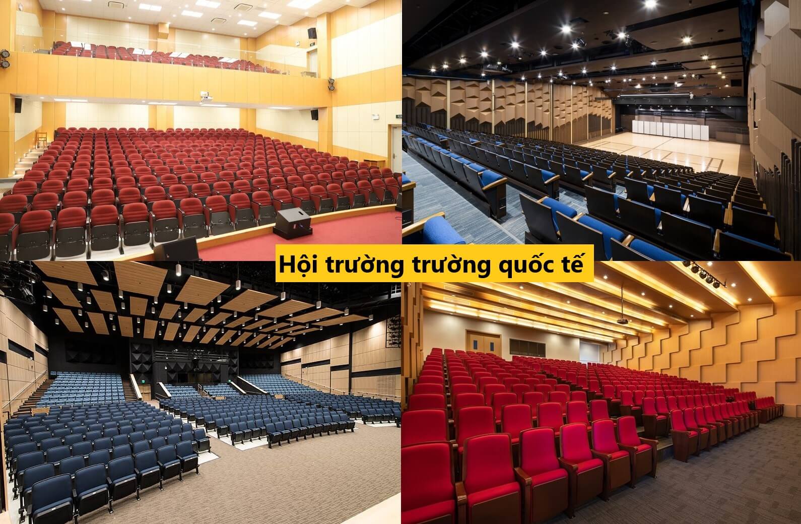 hoi truong truong quoc te