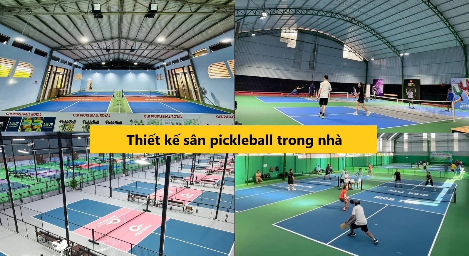Thiết kế sân pickleball trong nhà