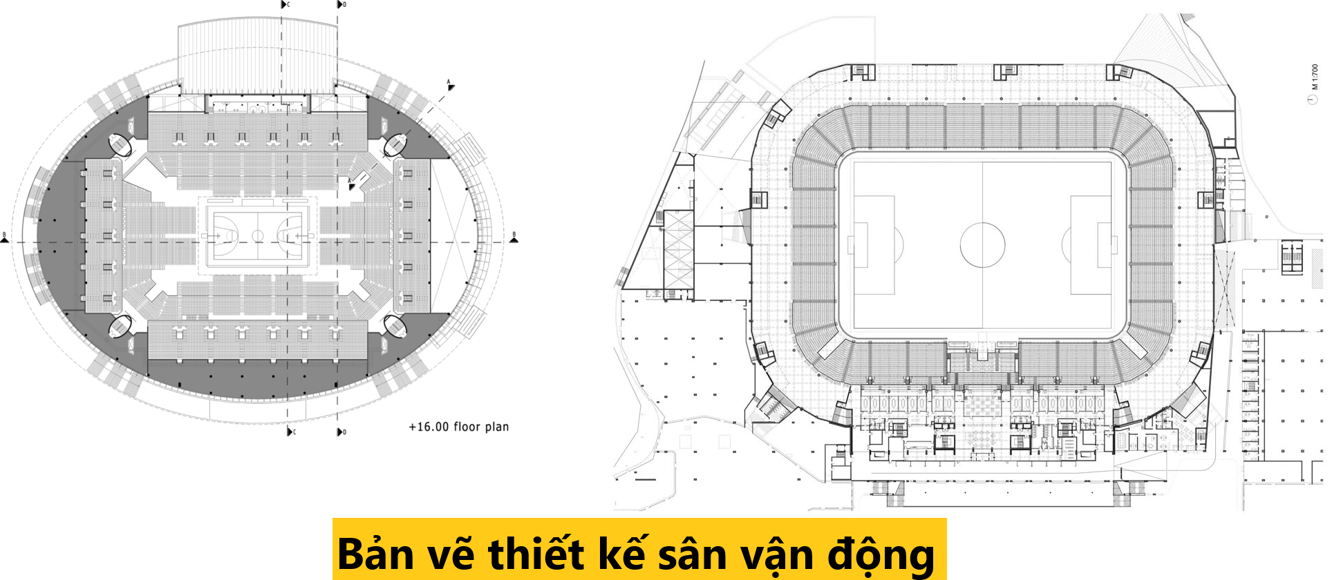 file cad san van dong 2
