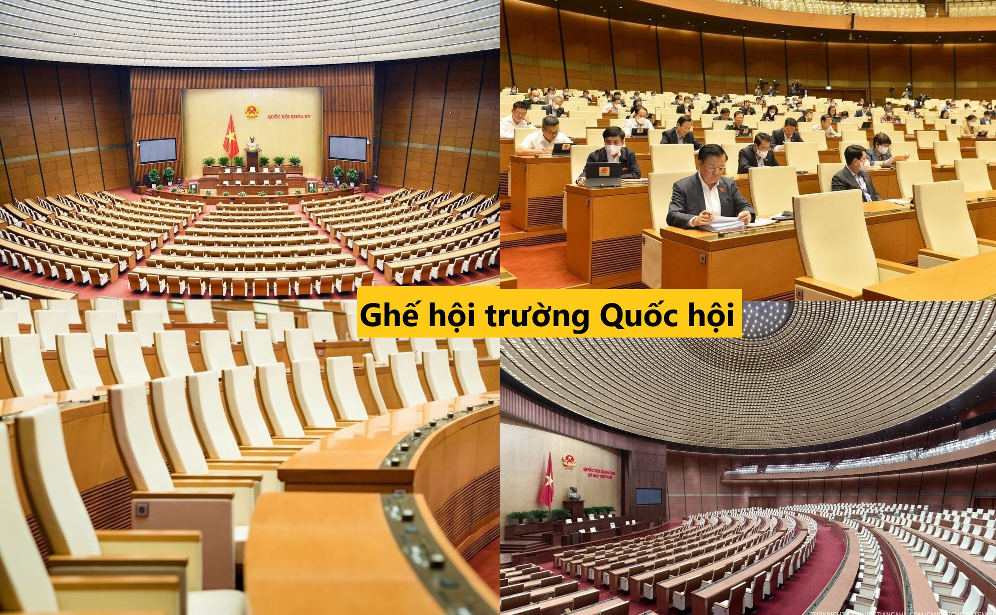 hoi truong dien hong 3