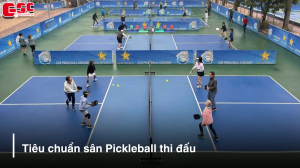 tieu chuan san pickleball thi dau