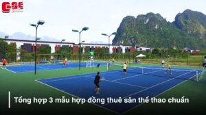 mau hop dong thue san the thao 2