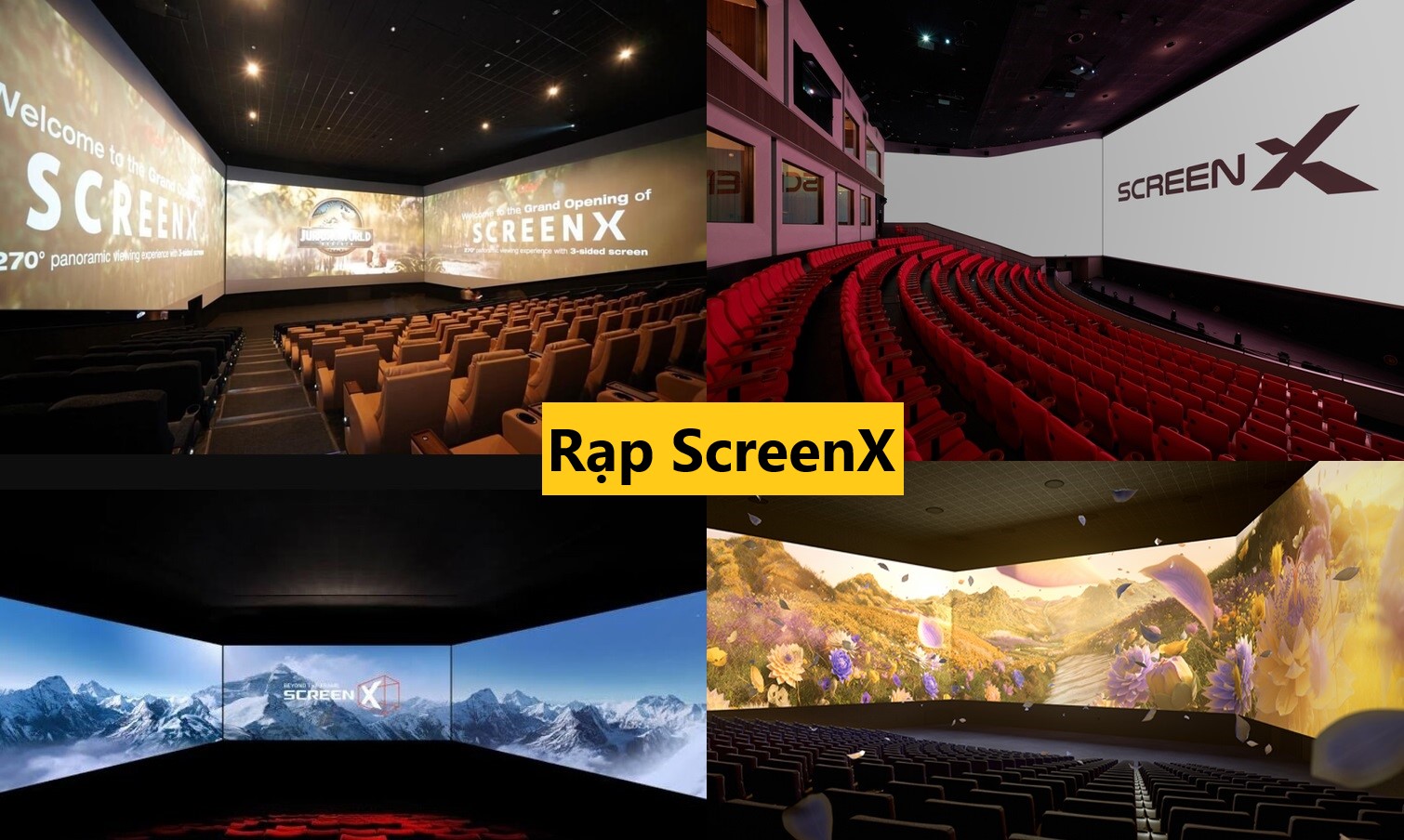 rap screenx la gi 1